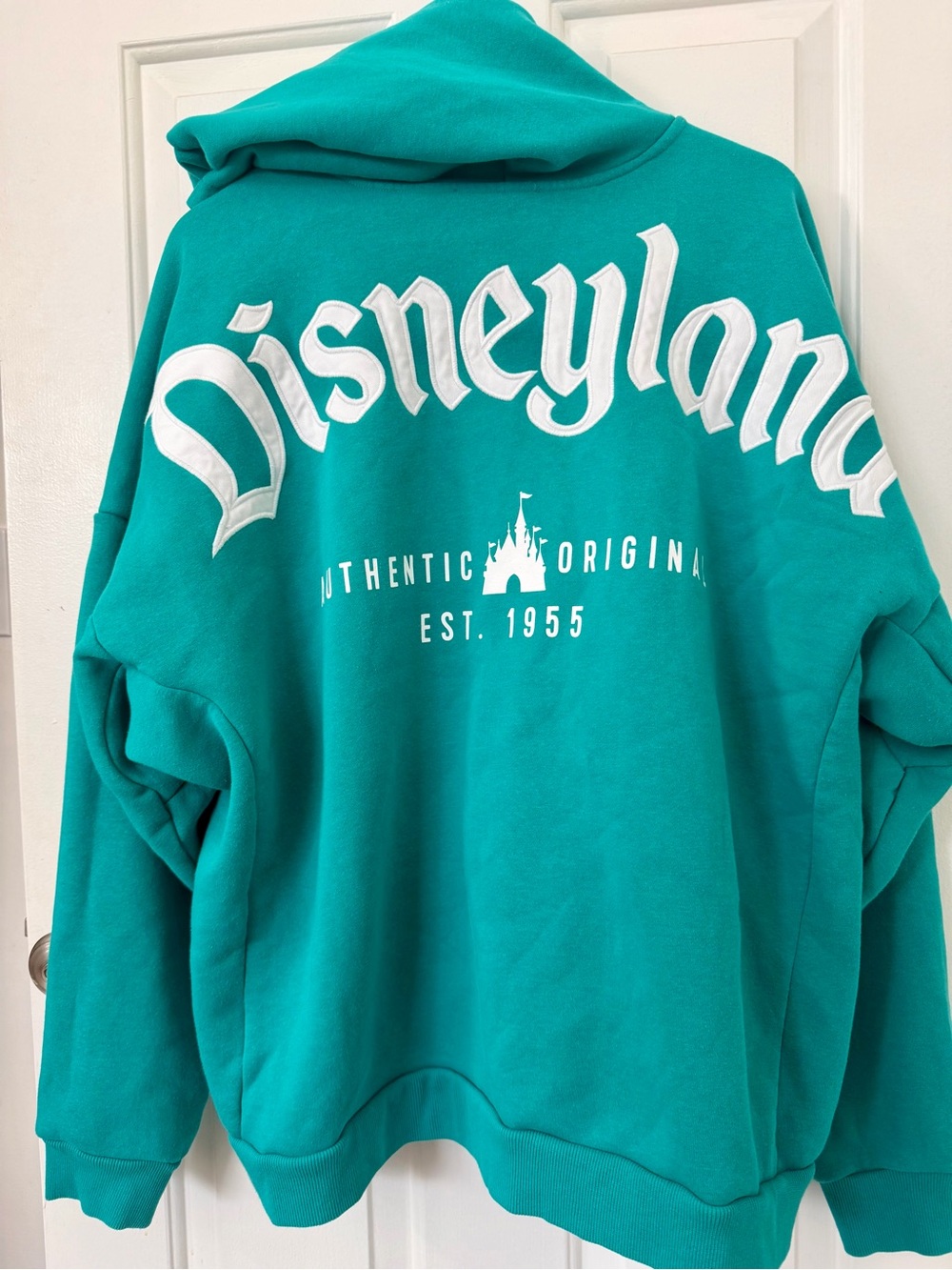 Disneyland Teal Jacket